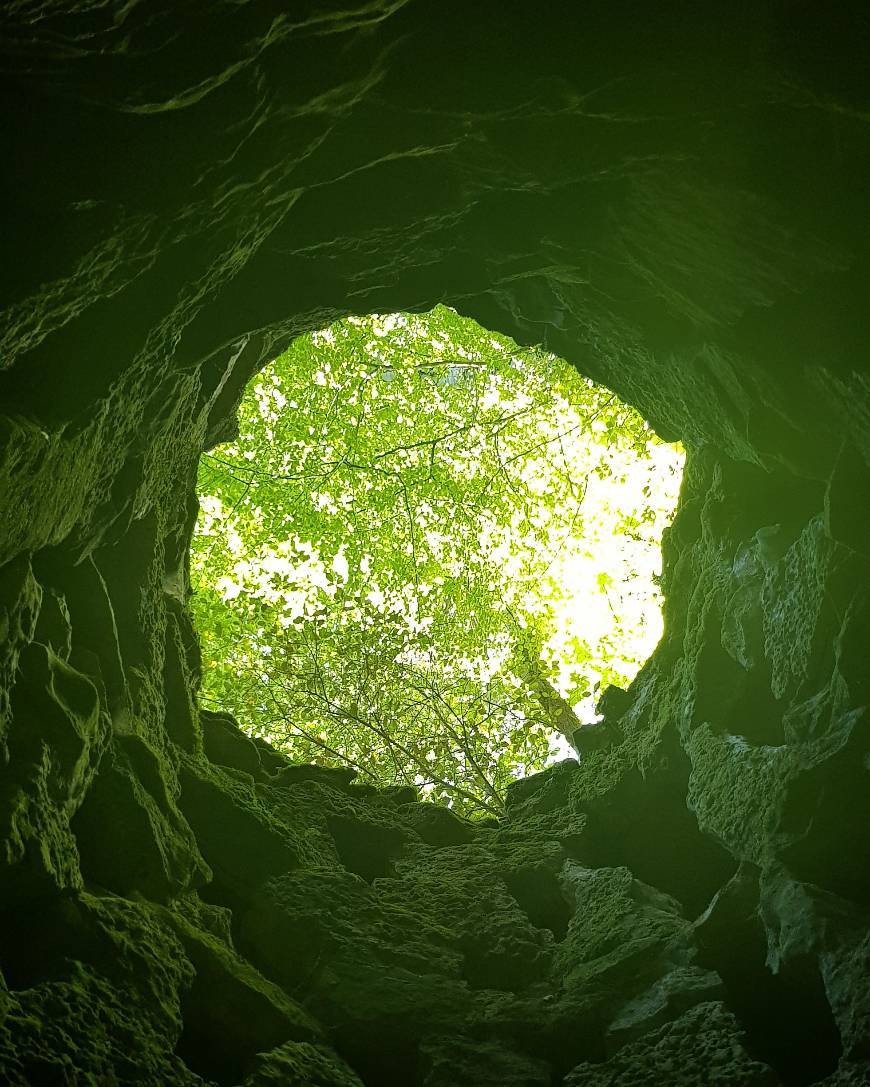 Place Quinta da Regaleira