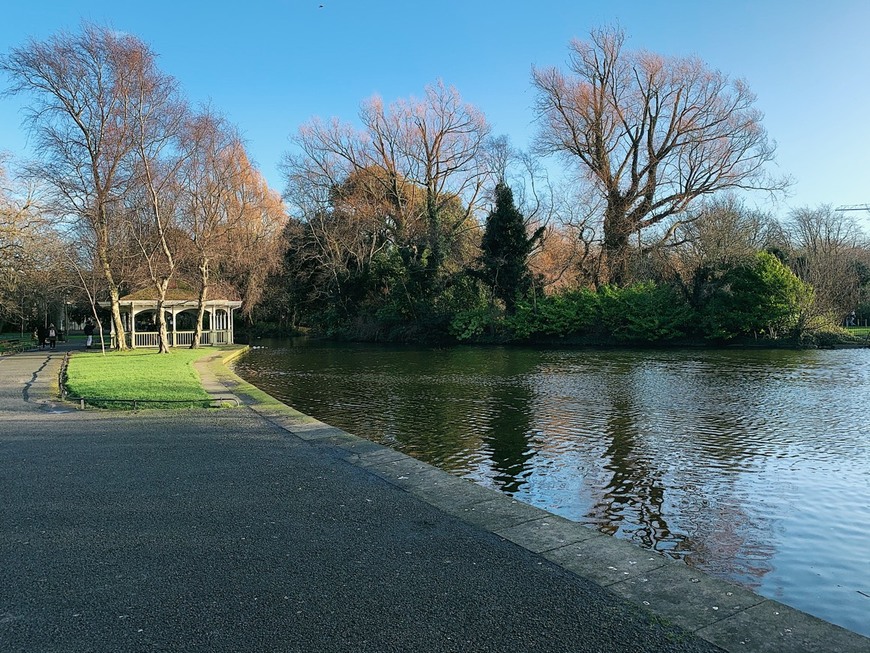 Place St. Stephen's Green