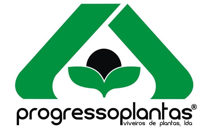 Lugar Progresso plantas