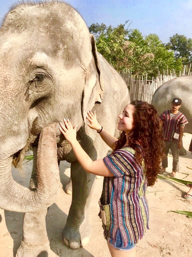 Lugar Elephant Sanctuary Thailand - Offices