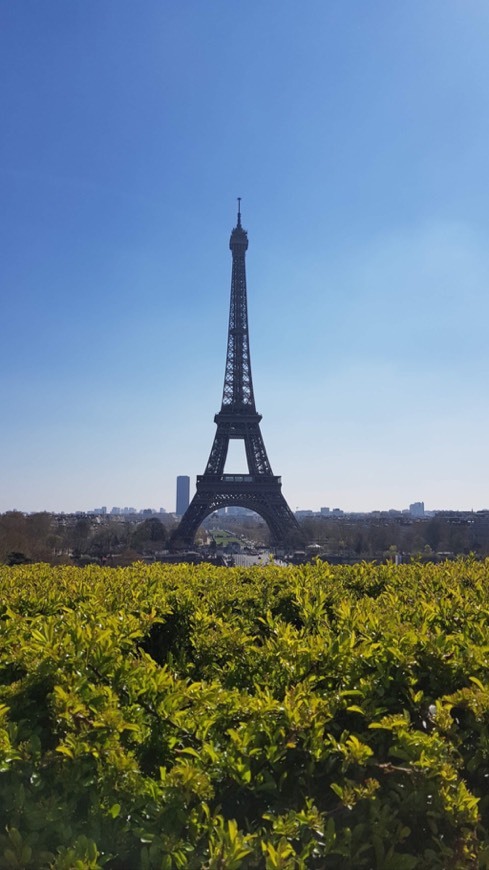 Lugar Torre Eiffel