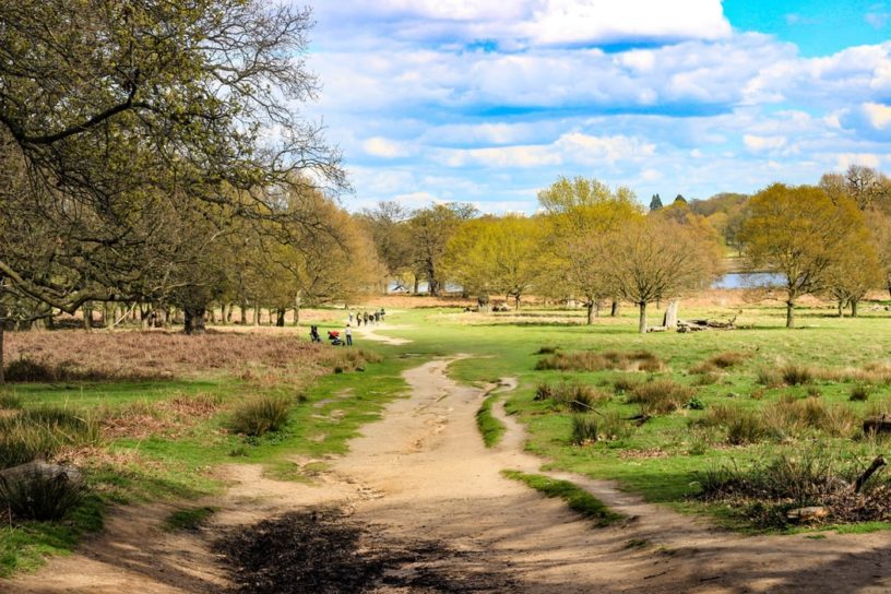 Place Richmond Park