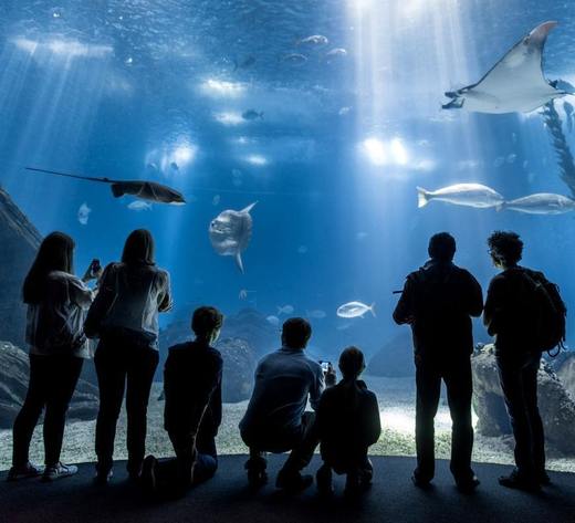 Oceanario de Lisboa