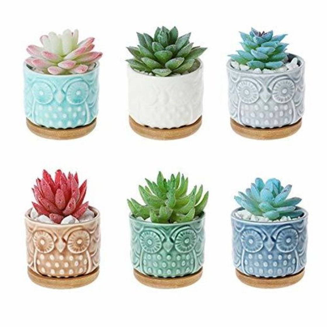 Social ComSaf Planta Maceta de Suculento Blanco 8.5CM Paquete de 6