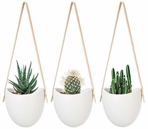 Social Mkouo cerámica Colgante plantador suculento Aire Planta Maceta decoración de la Pared