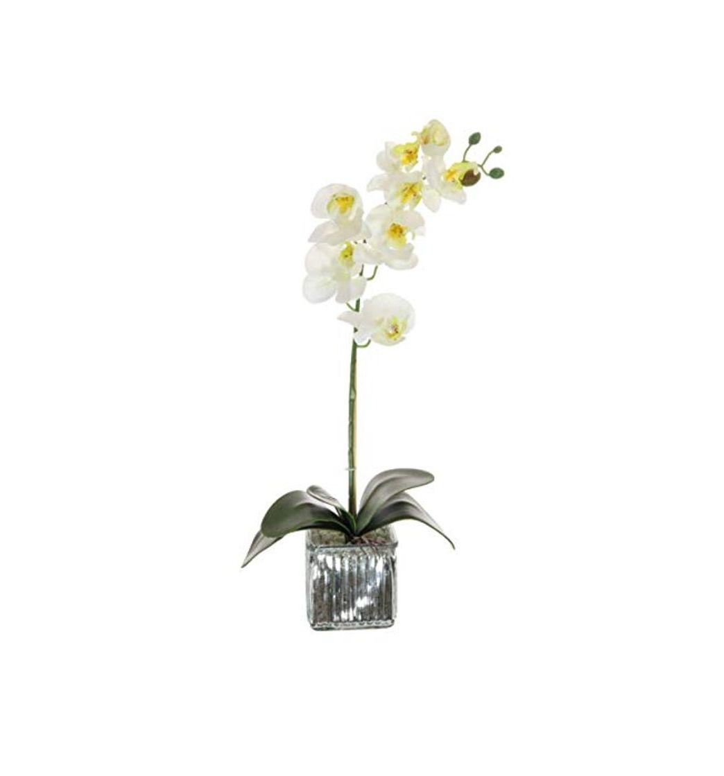 Productos Home Decor 4 U Orquídea artificial