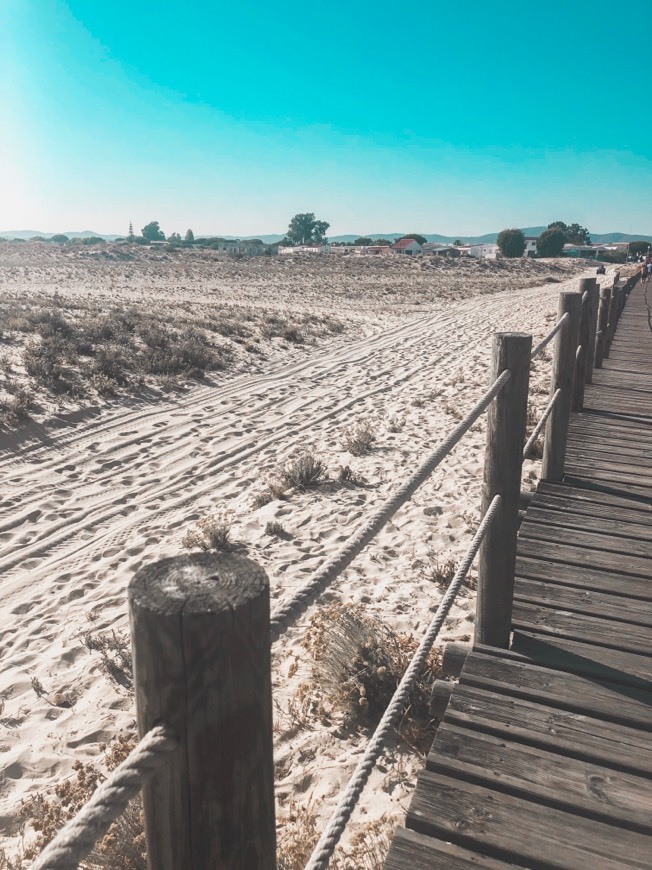 Lugar Ilha da Armona