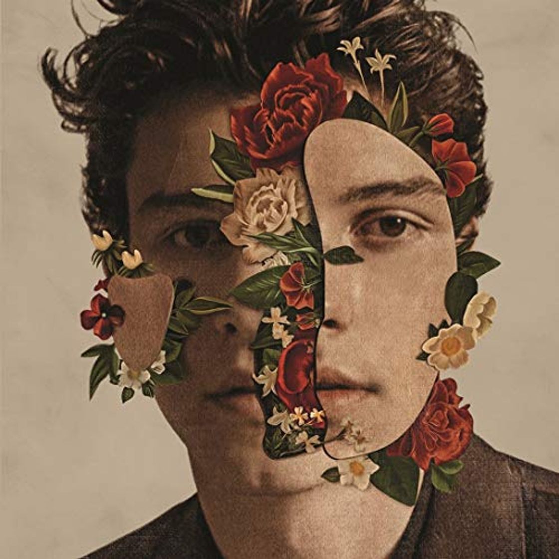 Social Shawn Mendes