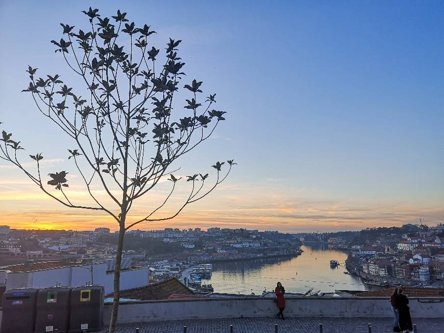 Place Jardim do Morro