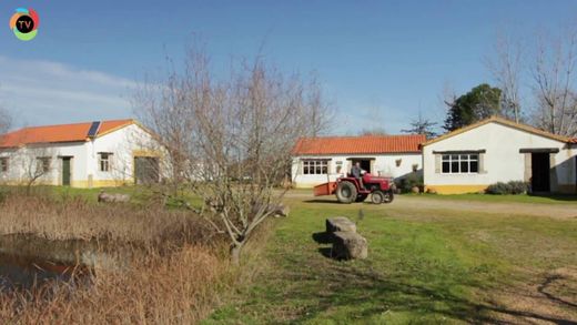 Quinta dos Trevos-Turismo Rural e Artesanato