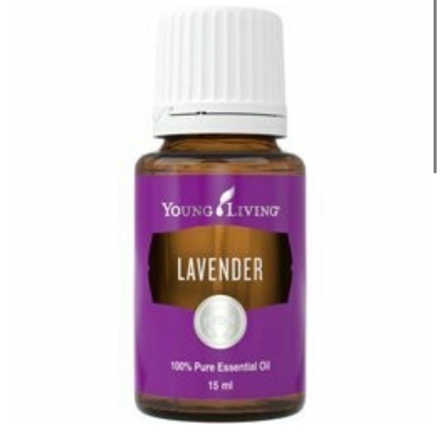 Moda Lavanda - Óleo Essencial Youngliving 