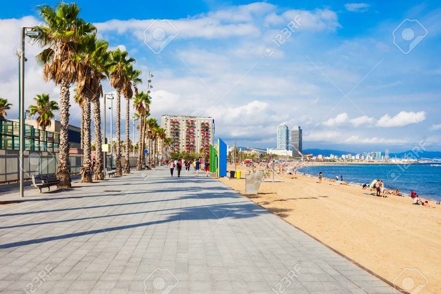 Playa de la Barceloneta