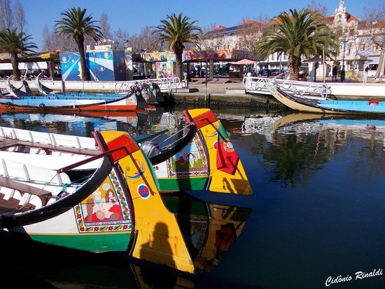 Place Viva a Ria - Passeio de barco moliceiro 