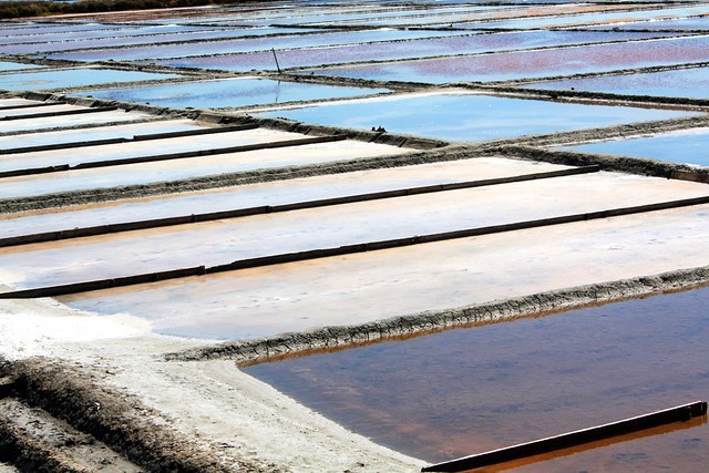 Lugares Salinas de Aveiro