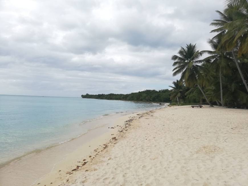 Lugar Punta Cana