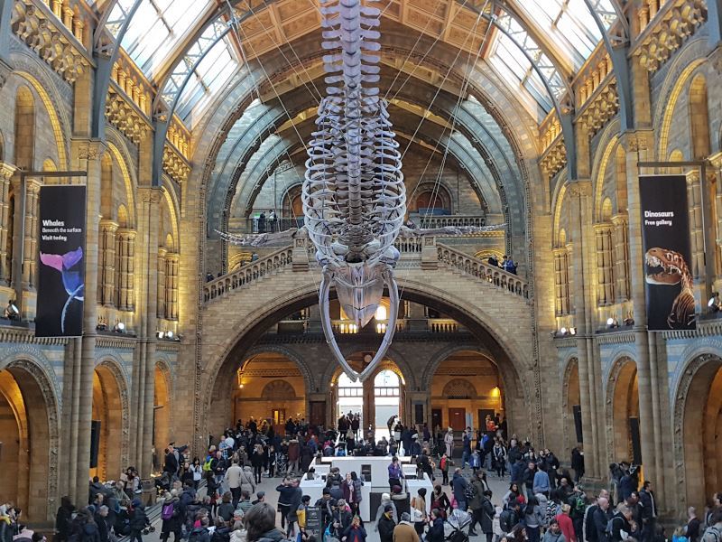 Place Natural History Museum