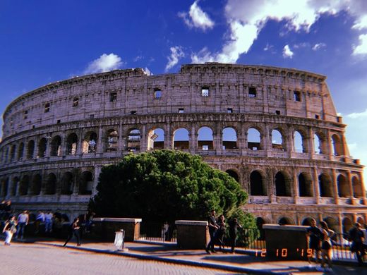 Coliseo de Roma