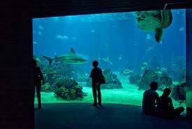 Oceanario de Lisboa