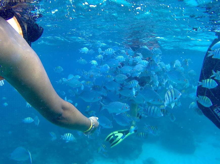 Places Buceo en Cuba - Snorkeling en Varadero