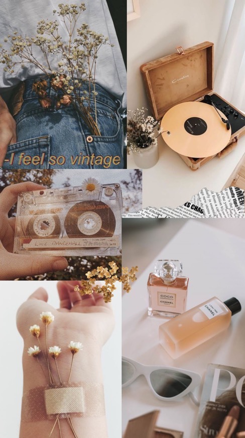 Fashion Moodboard para telemóvel 1💛