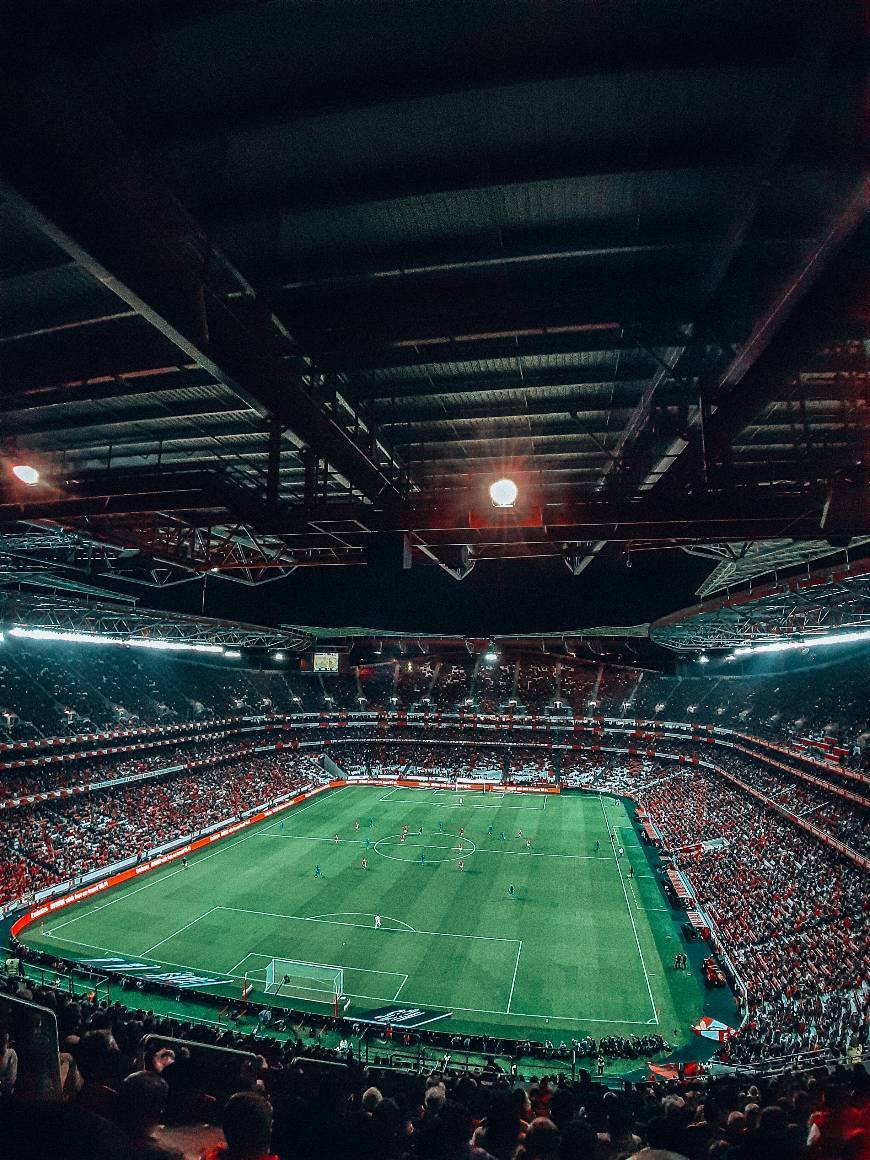 Place Estádio Sport Lisboa e Benfica