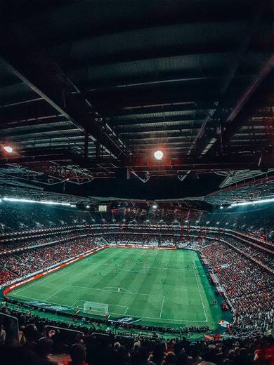 Estádio Sport Lisboa e Benfica