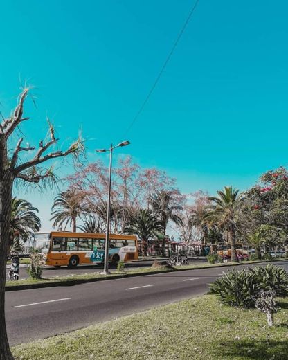 Marina do Funchal