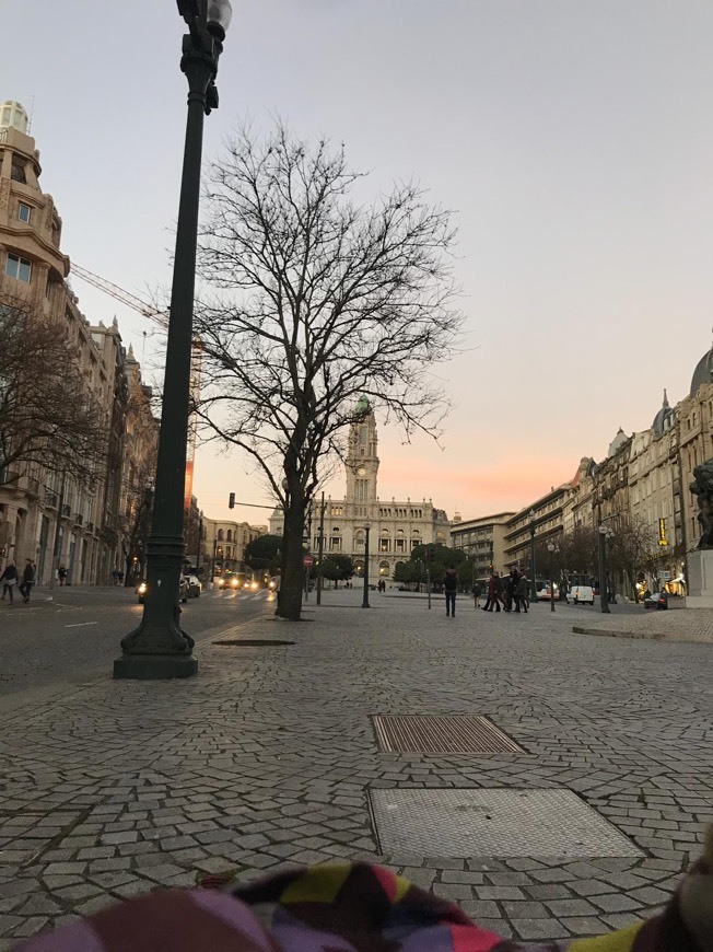 Lugar Avenida dos Aliados