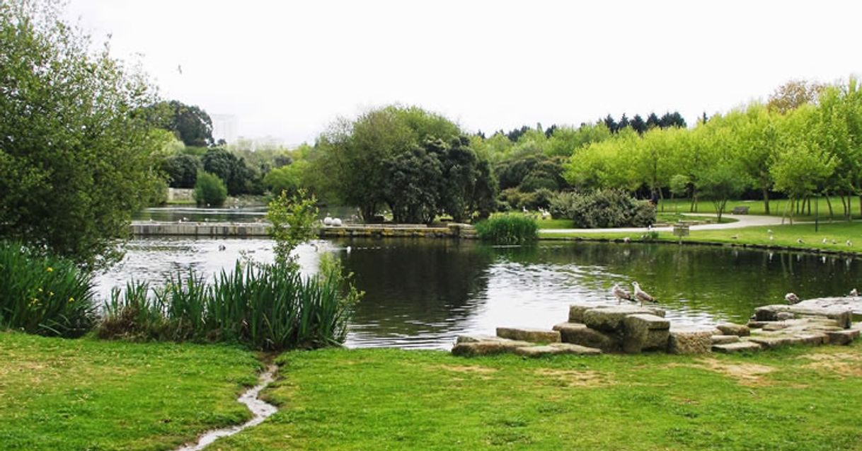 Place Parque da Cidade