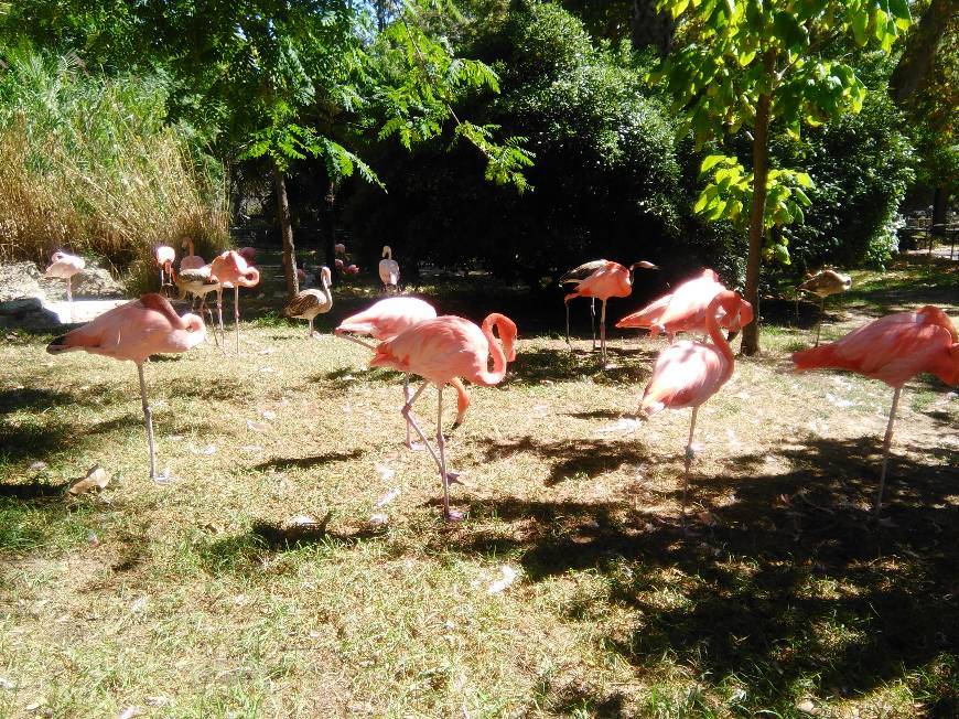 Place Jardim Zoológico de Lisboa