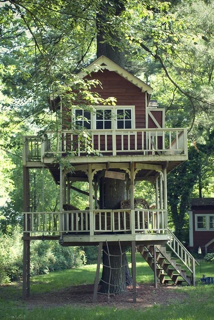 Moda Tree house