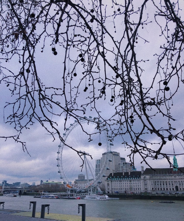 Lugar London Eye