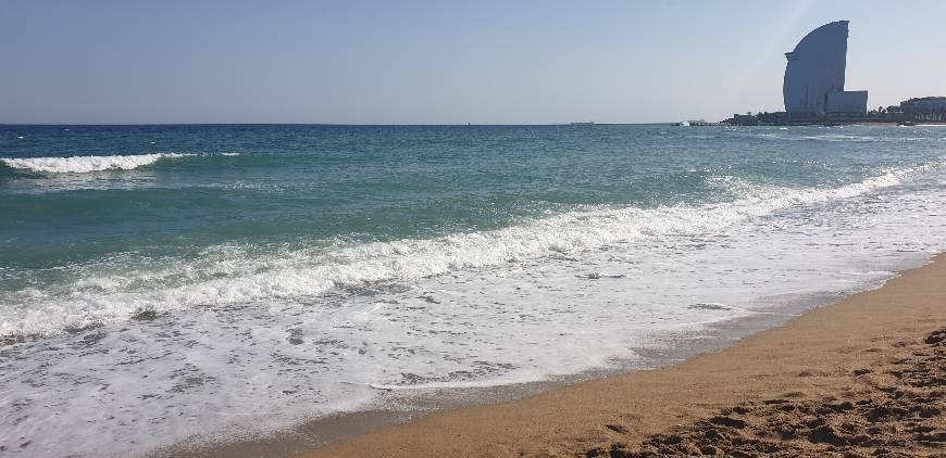 Place Playa barceloneta