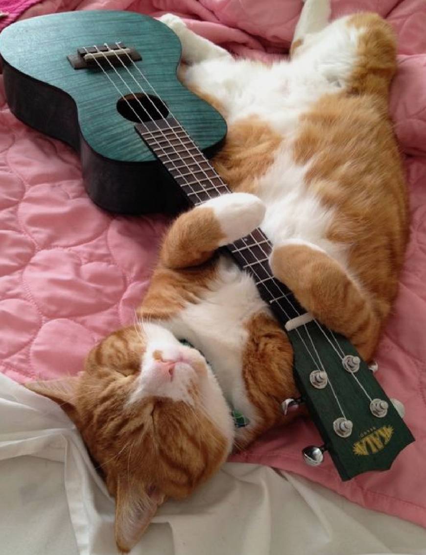 Guitar pic 3