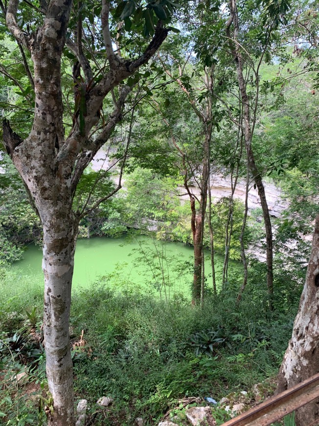 Place Cenote Sagrado de Chichen Itzá