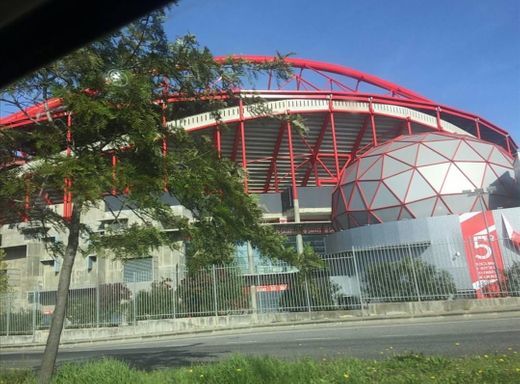 Lugar Estádio Sport Lisboa e Benfica