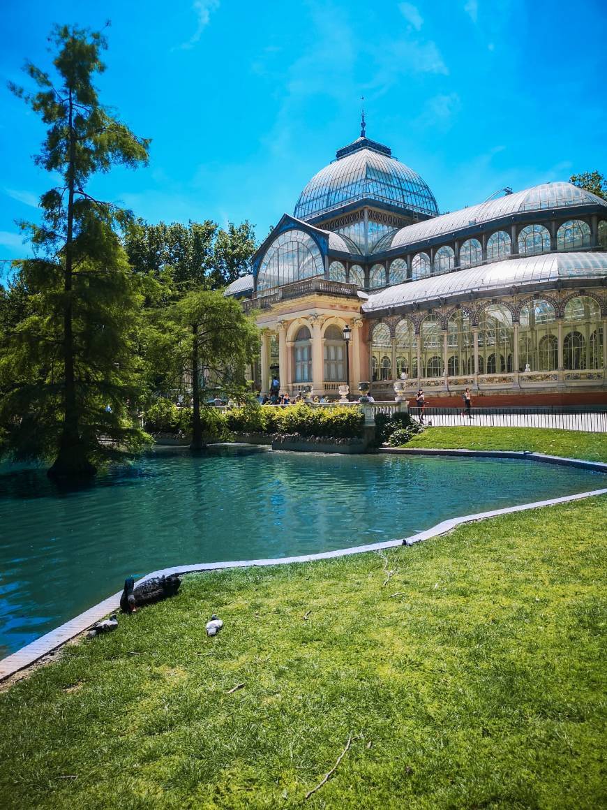 Lugar Palacio de Cristal