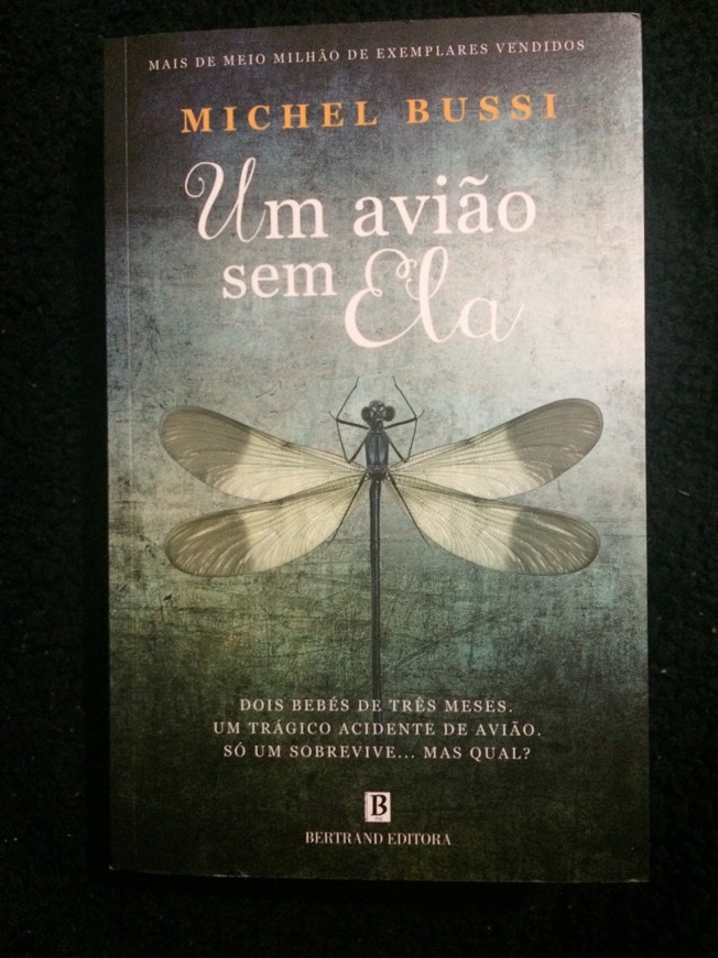 Um avião sem Ela