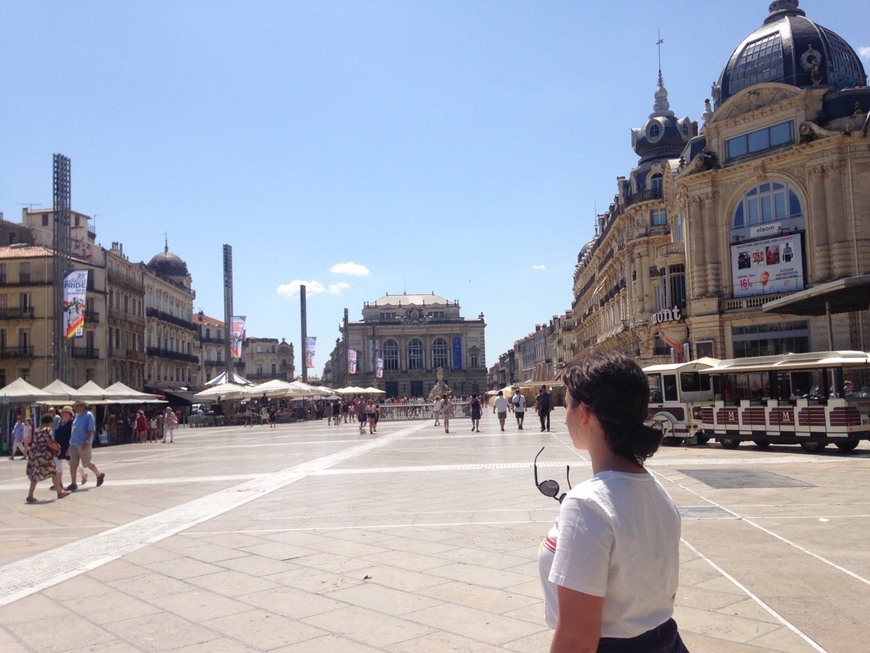 Restaurantes Montpellier