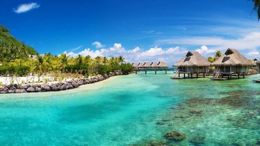 Lugar Caribe