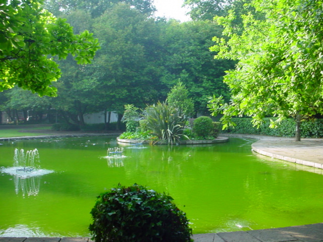 Lugar Parque Aquilino Ribeiro