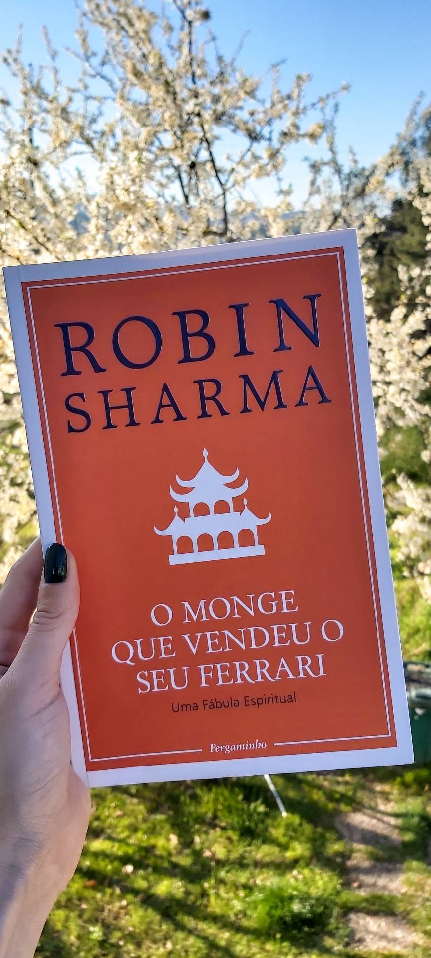 Book O monge que vendeu o seu Ferrari