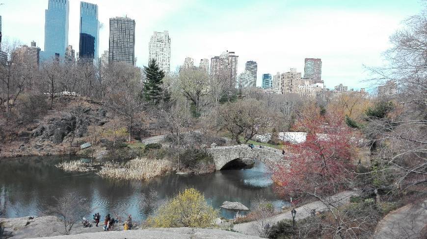 Lugar Central Park