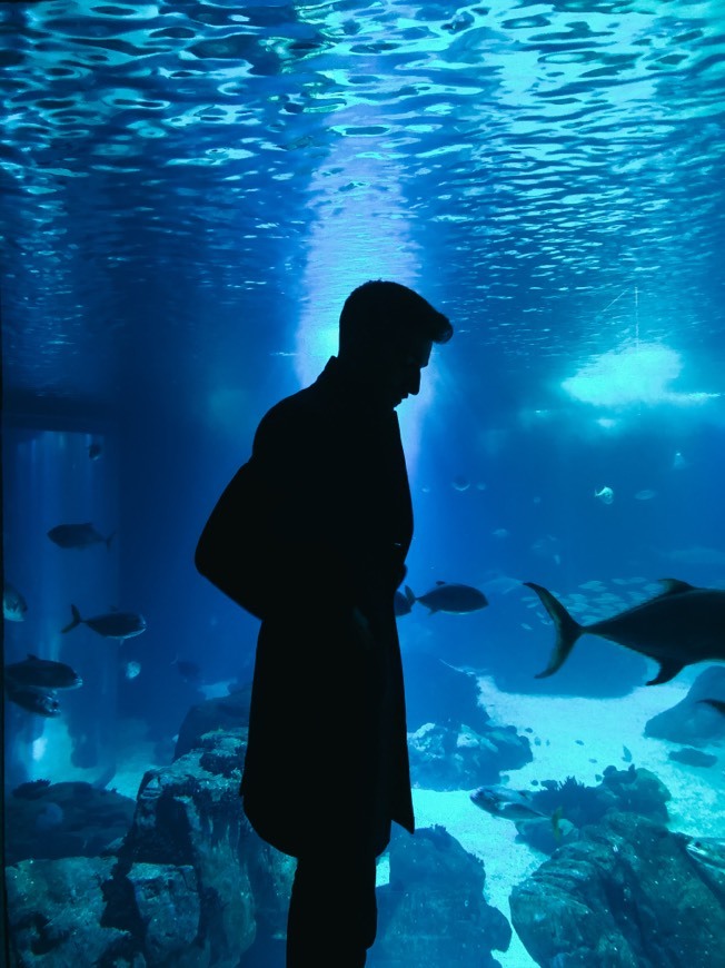 Lugar Oceanário de Lisboa