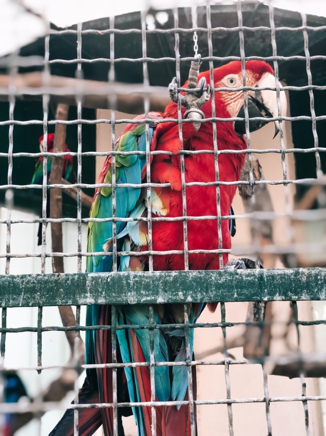 Lugar Jardim Zoológico de Lisboa