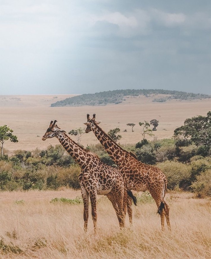 Place Tanzania