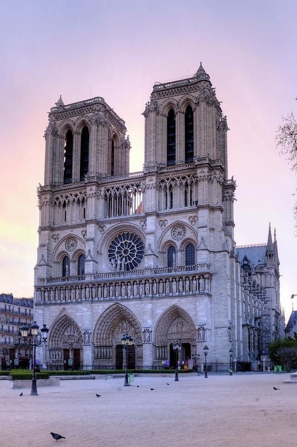 Place Notre Dame