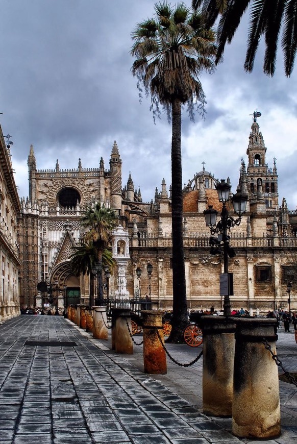 Lugar Catedral de Sevilla