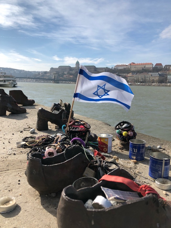 Place Shoes on the Danube Bank