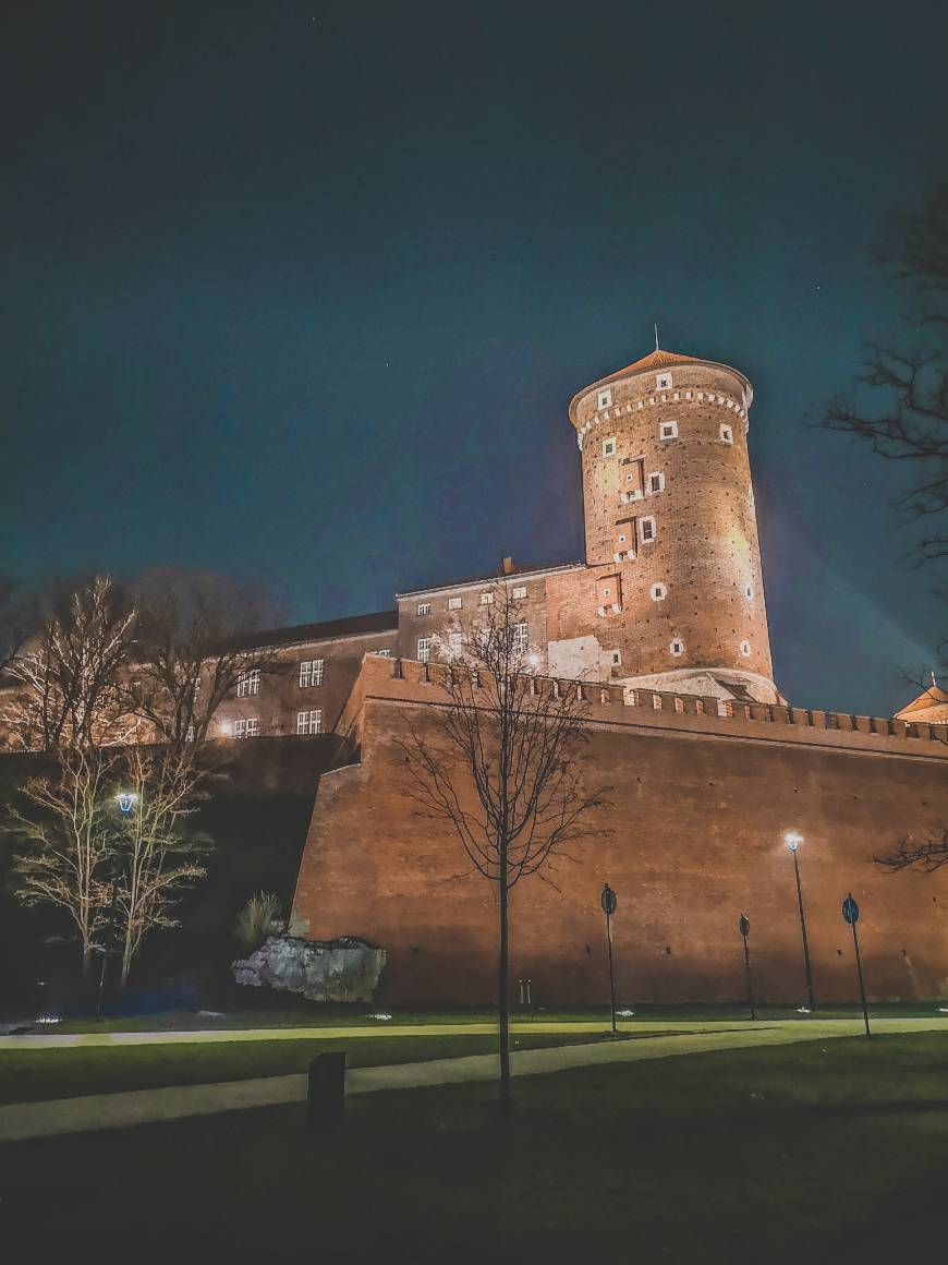 Lugar Castillo de Wawel